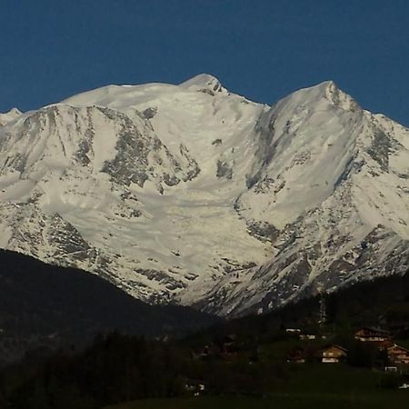 Appartement Appart en rez de jardin clos face au Mont BLANC à Combloux Extérieur photo