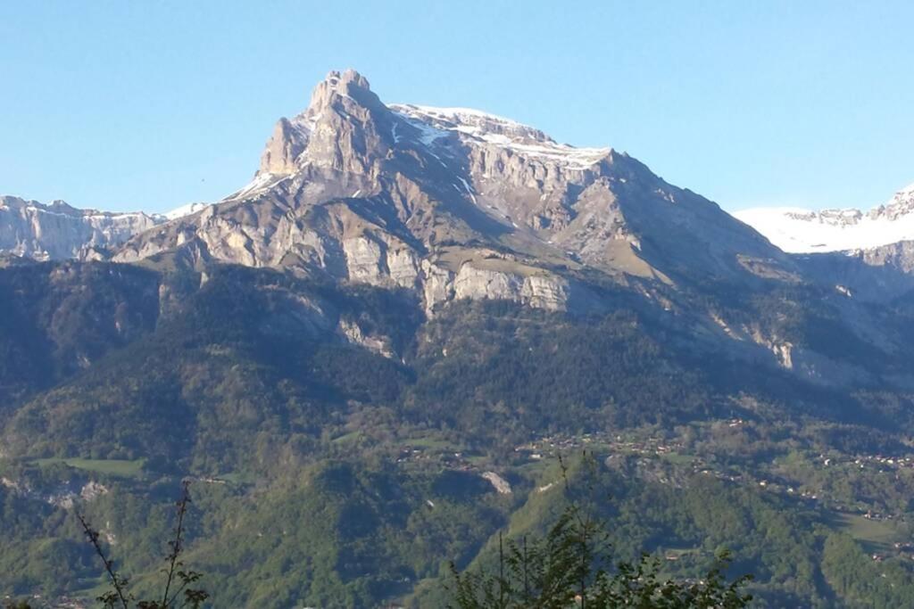 Appartement Appart en rez de jardin clos face au Mont BLANC à Combloux Extérieur photo