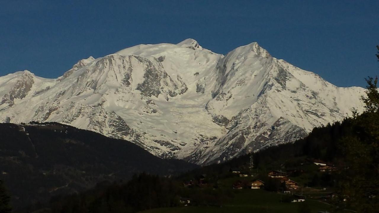 Appartement Appart en rez de jardin clos face au Mont BLANC à Combloux Extérieur photo